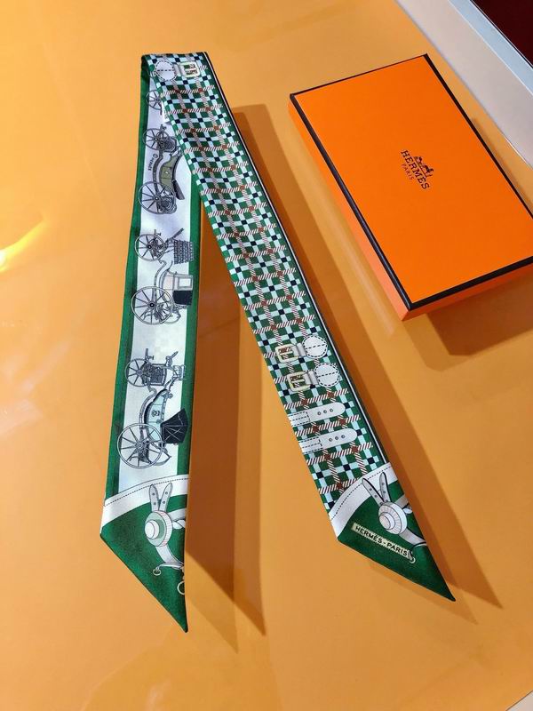 Hermes silk ribbon 5X86cm E107 (6)