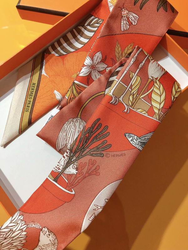 Hermes silk ribbon 5X86cm E108 (2)