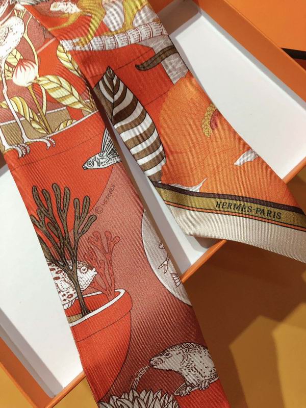 Hermes silk ribbon 5X86cm E108 (3)