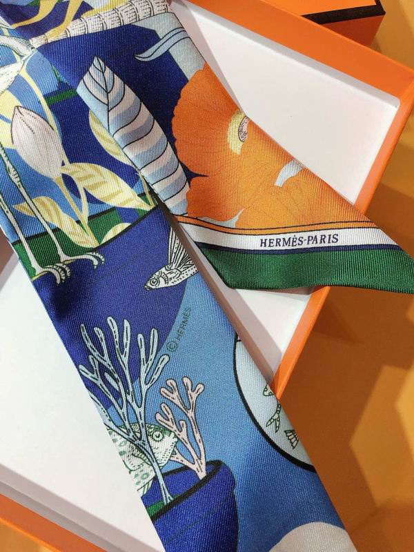 Hermes silk ribbon 5X86cm E108 (30)