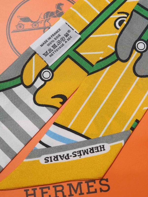 Hermes silk ribbon 5X86cm E40 (3)