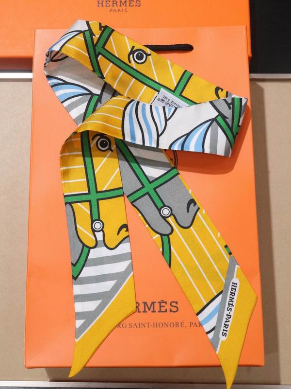 Hermes silk ribbon 5X86cm E40 (4)