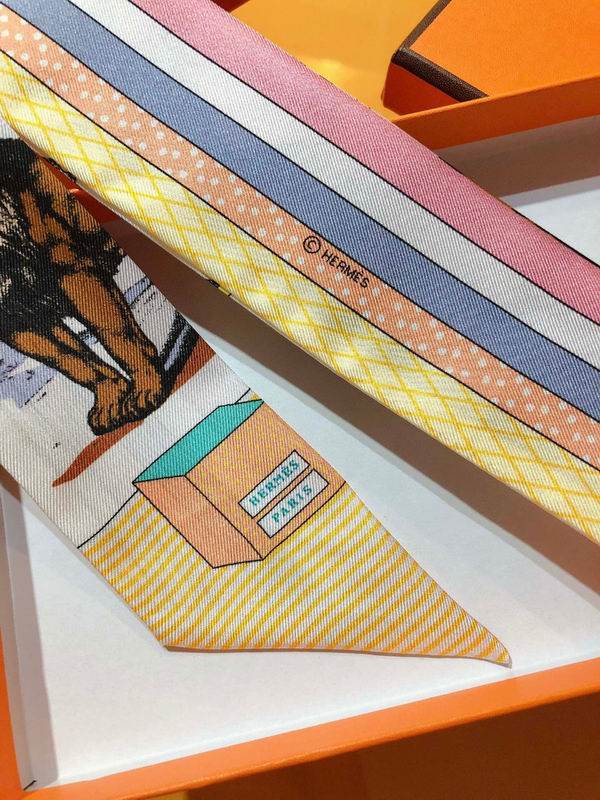 Hermes silk ribbon 5X86cm E46 (3)