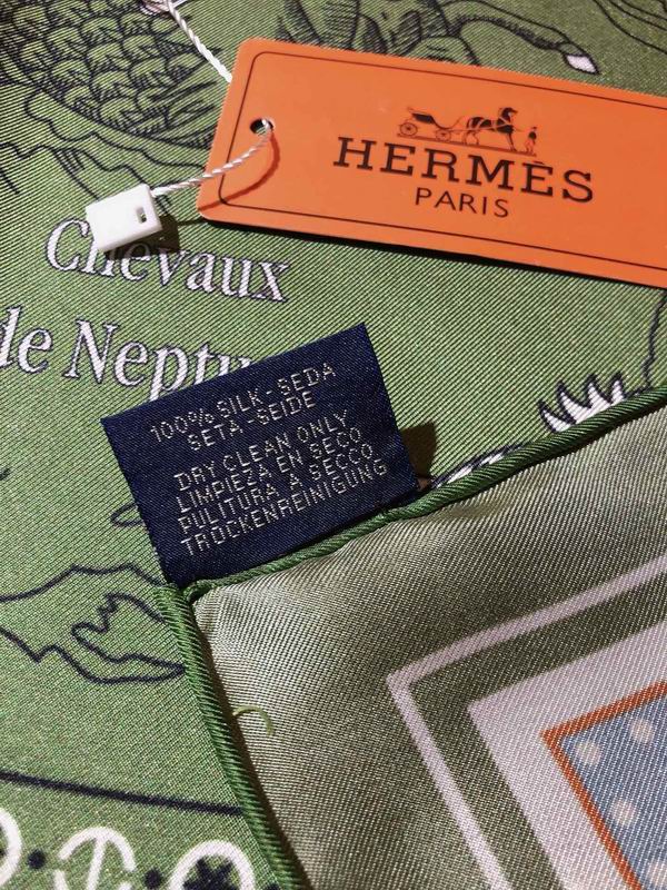 Hermes silk scarf 90X90cm E06 (5)