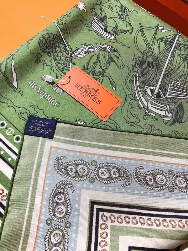 Hermes silk scarf 90X90cm E06 (6)