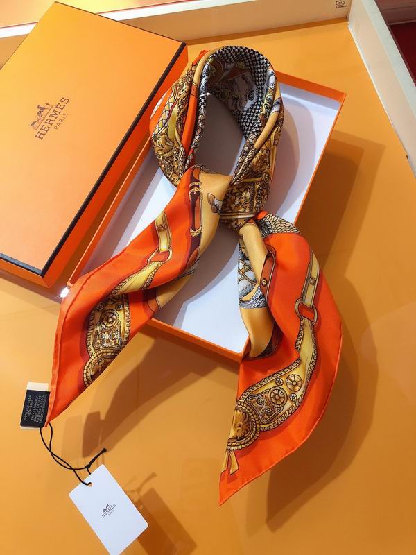 Hermes silk scarf 90X90cm E22 (32)
