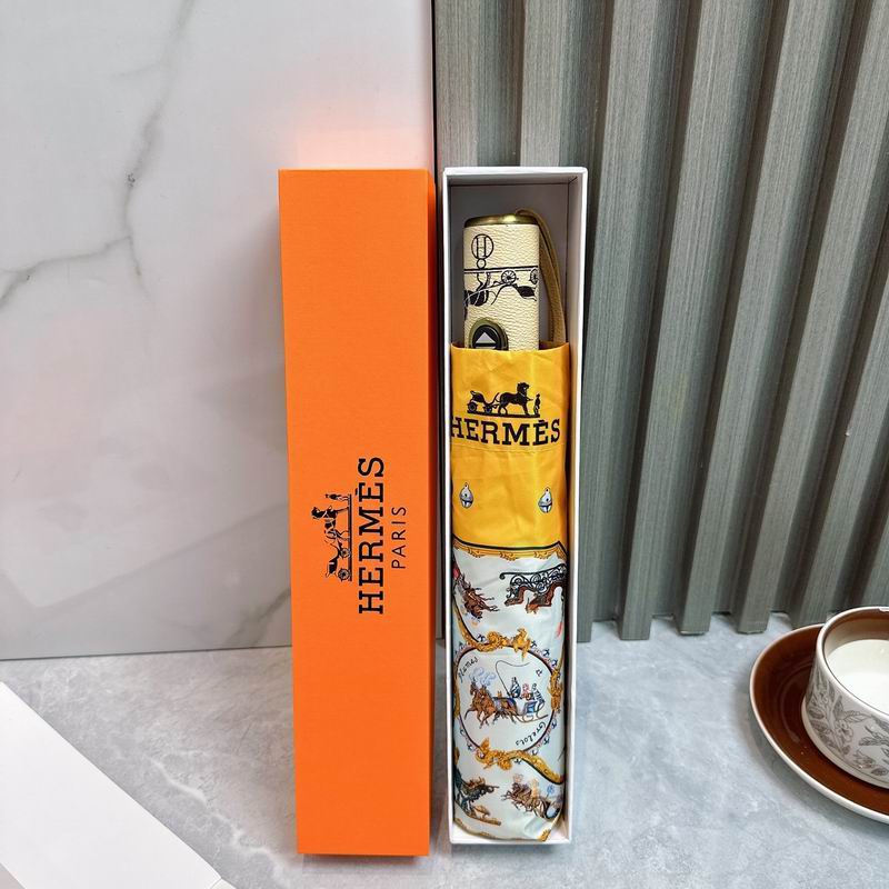 Hermes umbrella (109)