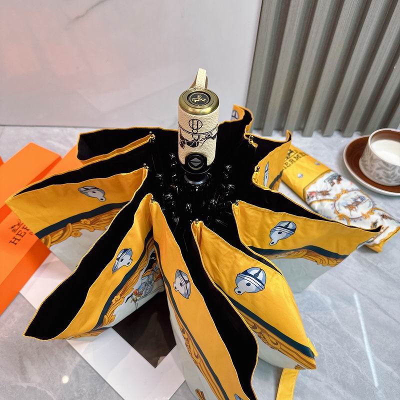 Hermes umbrella (113)