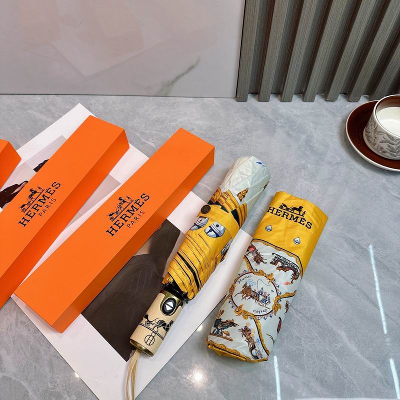 Hermes umbrella (114)