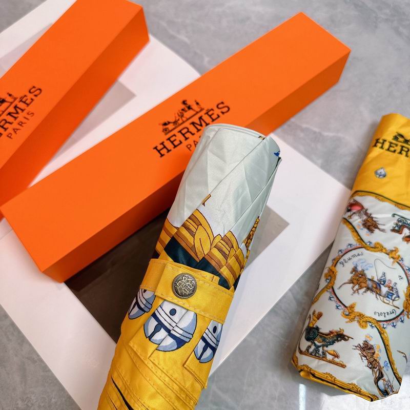 Hermes umbrella (115)