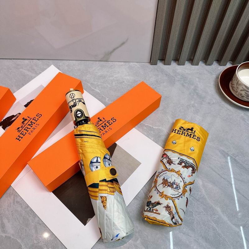 Hermes umbrella (116)