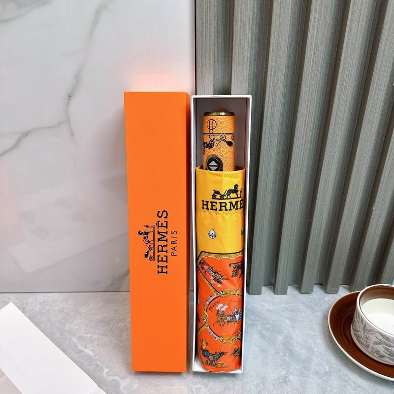 Hermes umbrella (118)