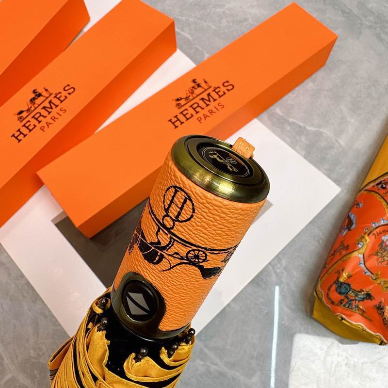Hermes umbrella (119)