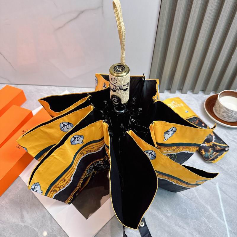 Hermes umbrella (131)