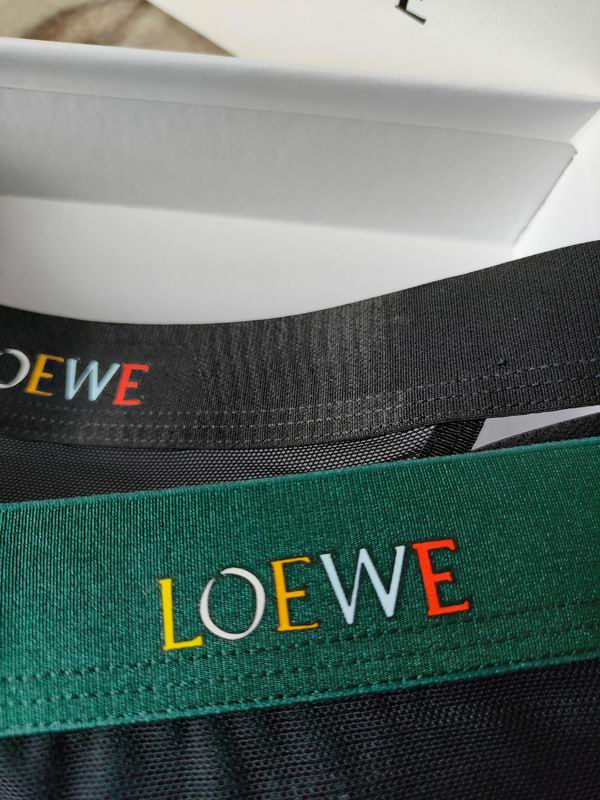 Loewe woman boxer M-XL 17 (1)