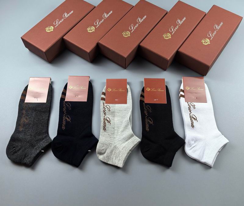 Loro Piana socks (1)