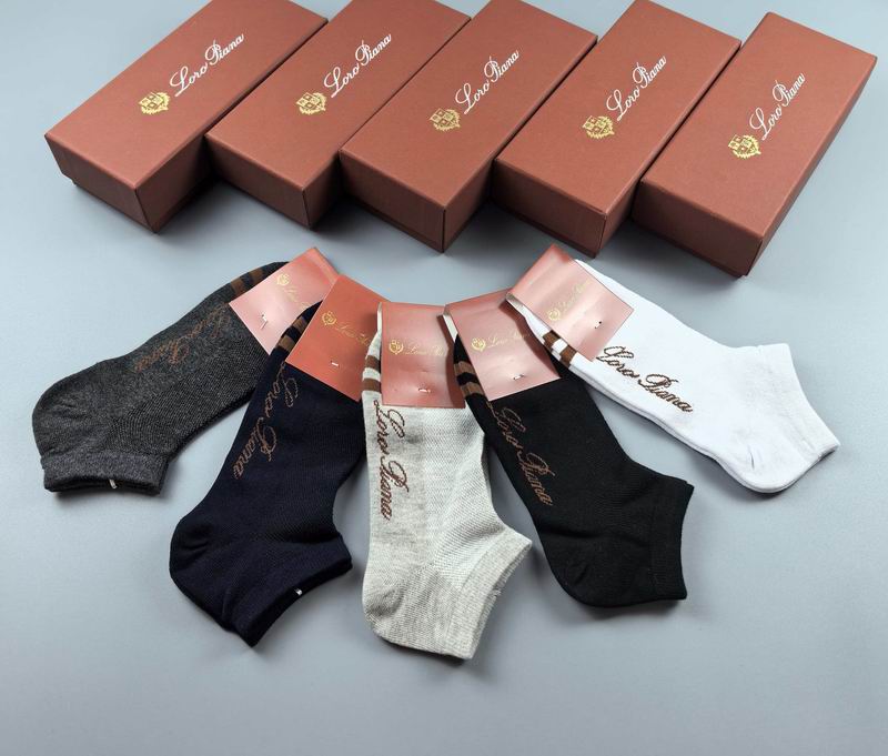 Loro Piana socks (2)