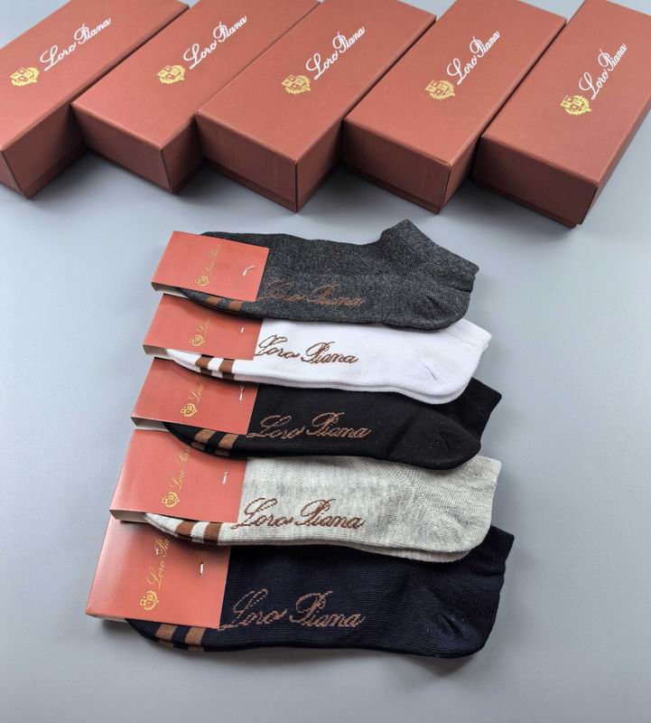 Loro Piana socks (8)