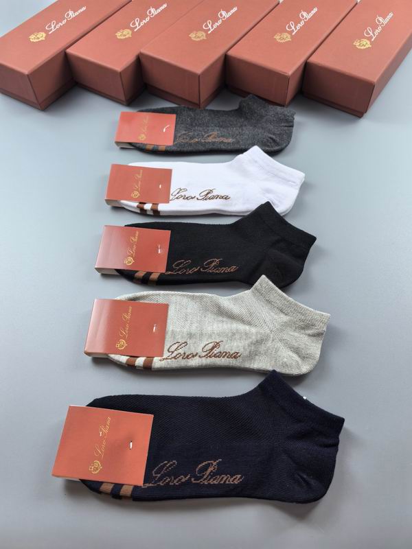 Loro Piana socks (9)