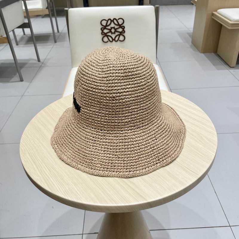 Miumiu hat (198)