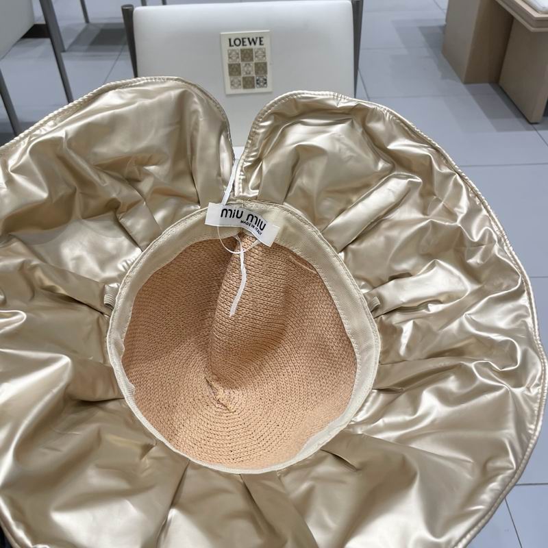 Miumiu hat (59)