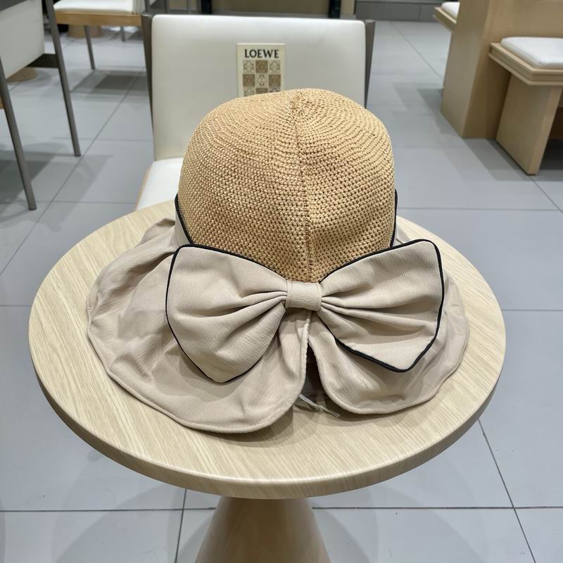 Miumiu hat (66)