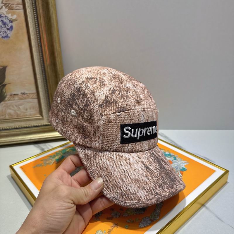 Supreme cap (21)