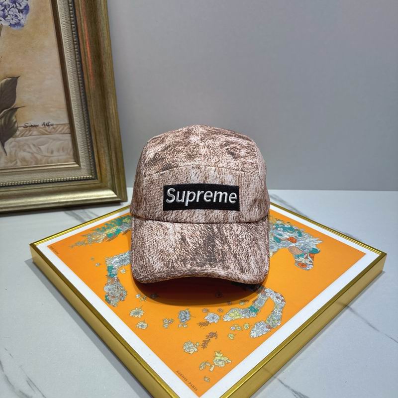 Supreme cap (27)