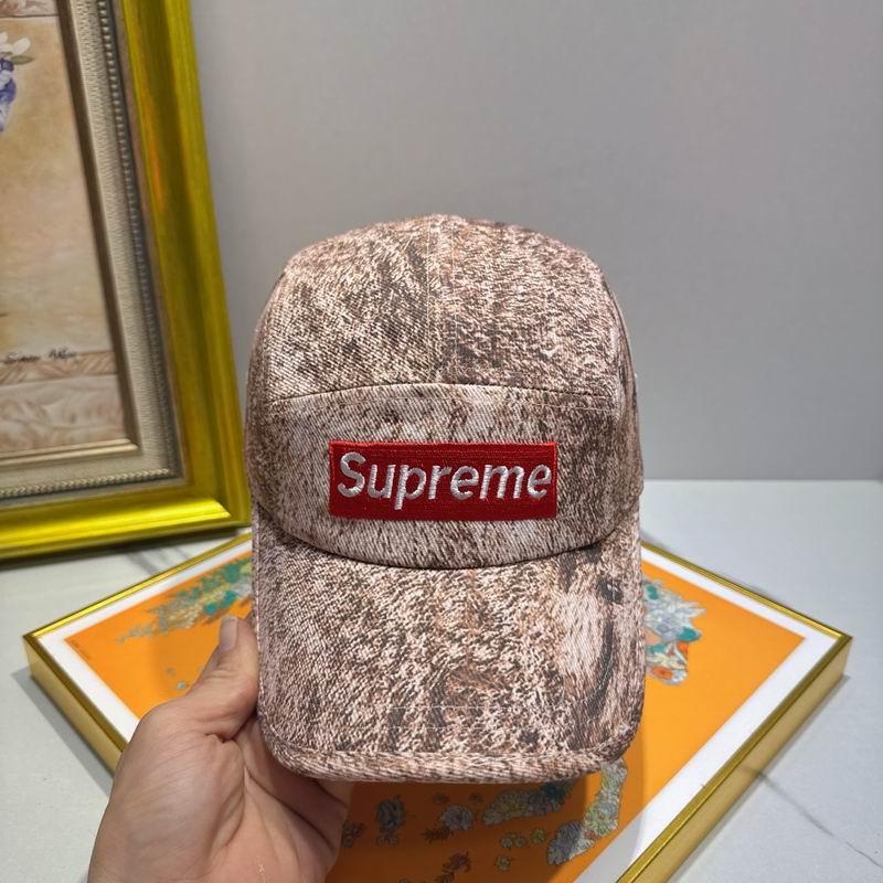 Supreme cap (32)