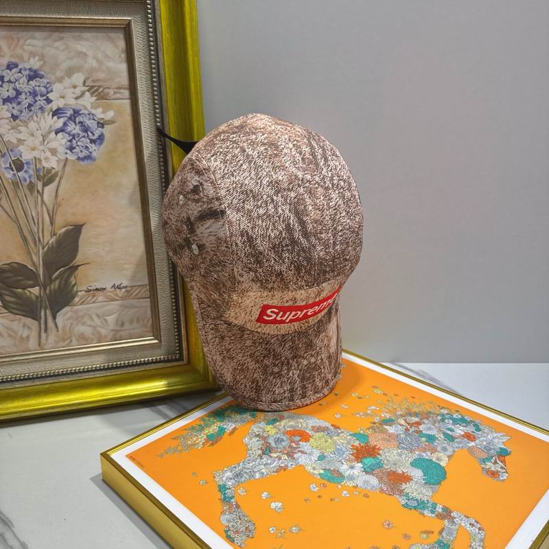 Supreme cap (33)