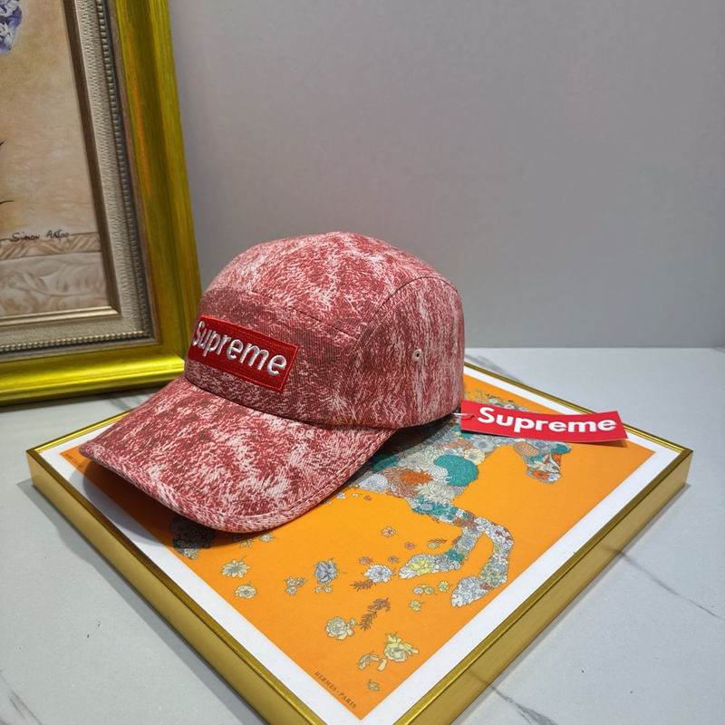 Supreme cap (44)