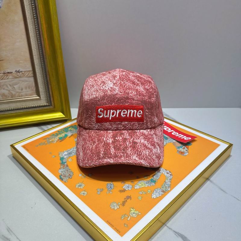 Supreme cap (45)