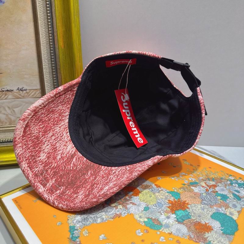 Supreme cap (46)