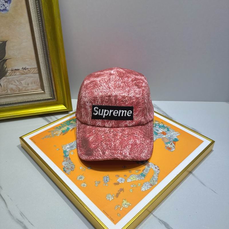 Supreme cap (54)