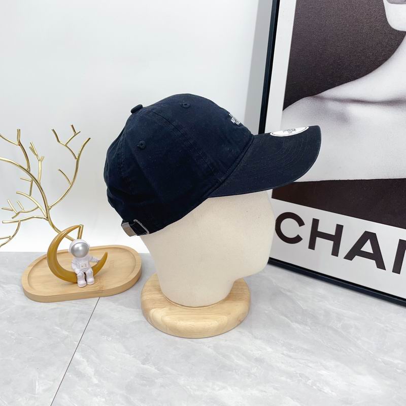 The North Face cap dx (43)