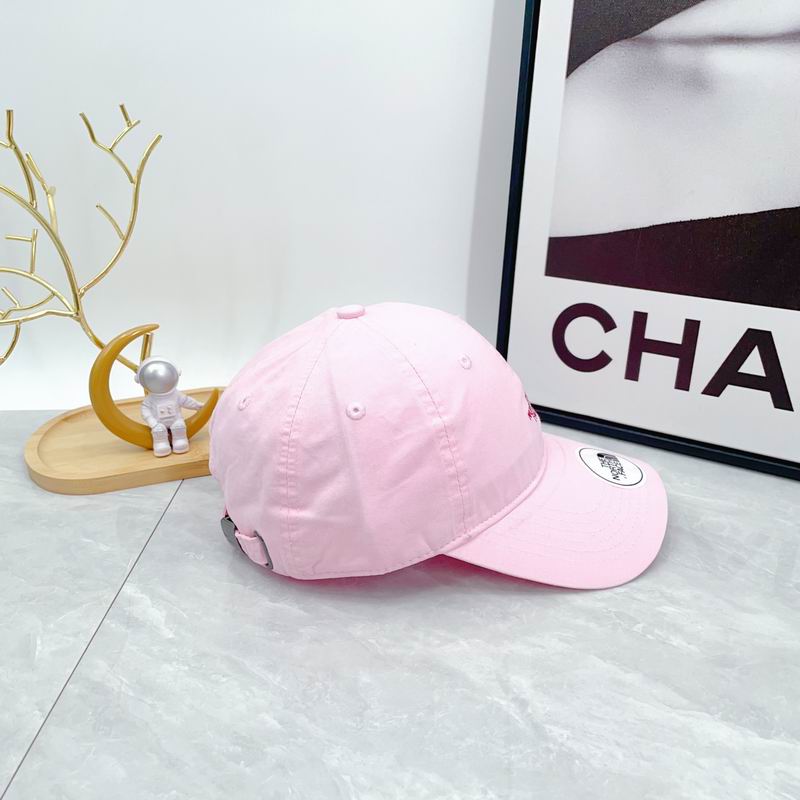 The North Face cap dx (49)