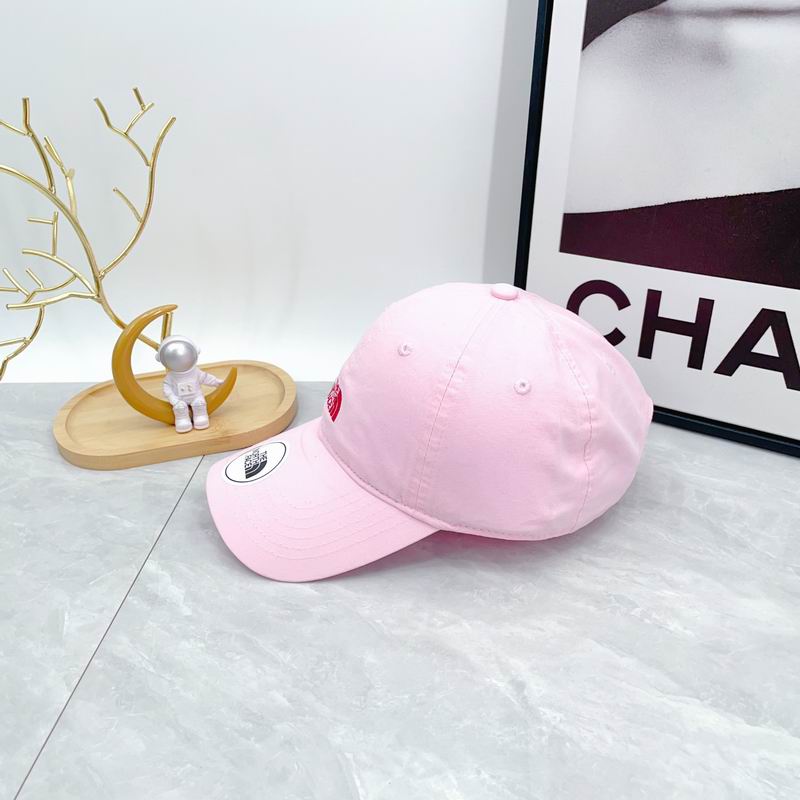The North Face cap dx (51)