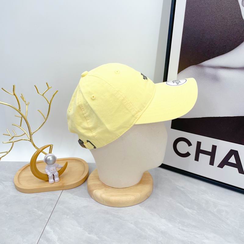 The North Face cap dx (71)