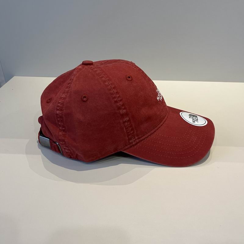 The North Face cap dx (87)