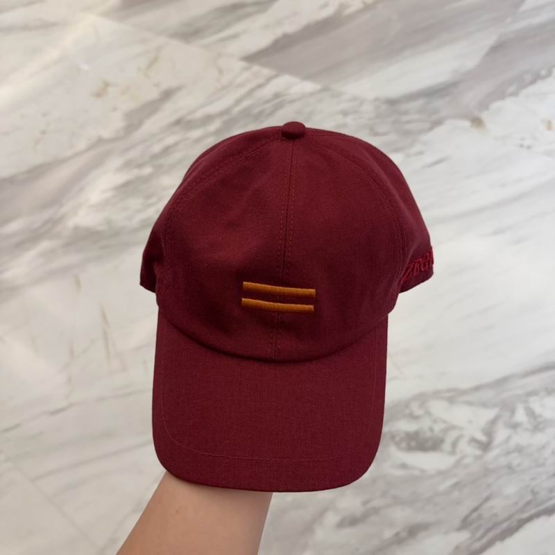 Zegna cap dx (10)