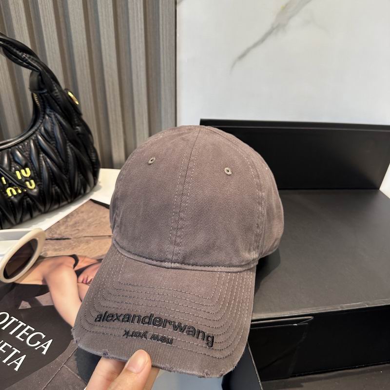 Alexander Wang cap dx (17)