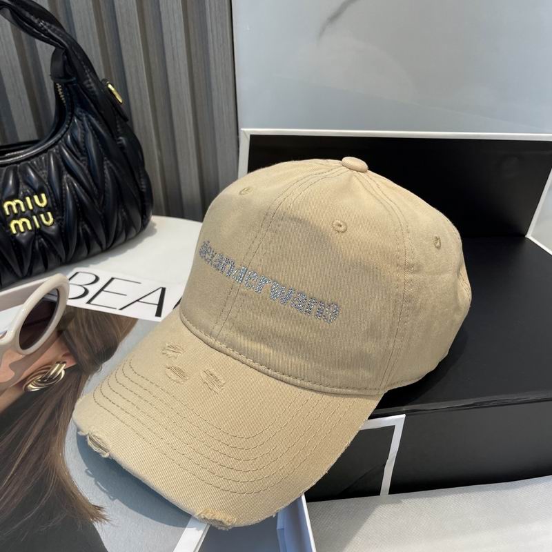 Alexander Wang cap dx (18)
