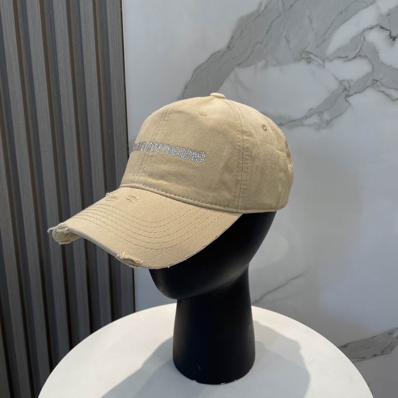 Alexander Wang cap dx (19)