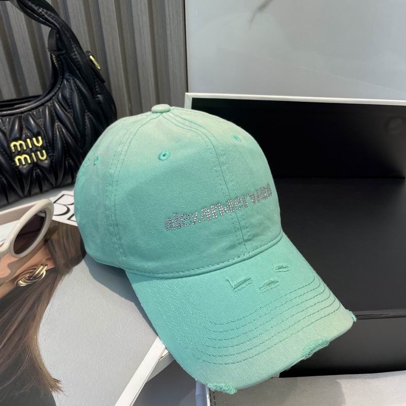 Alexander Wang cap dx (22)