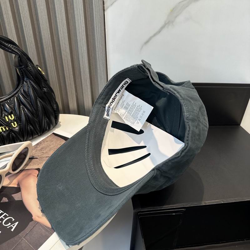 Alexander Wang cap dx (23)