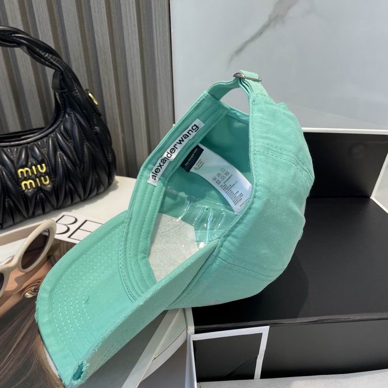 Alexander Wang cap dx (25)