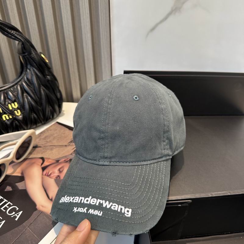 Alexander Wang cap dx (25)