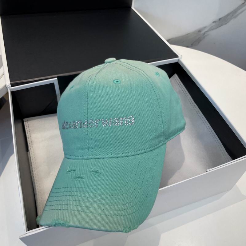 Alexander Wang cap dx (27)