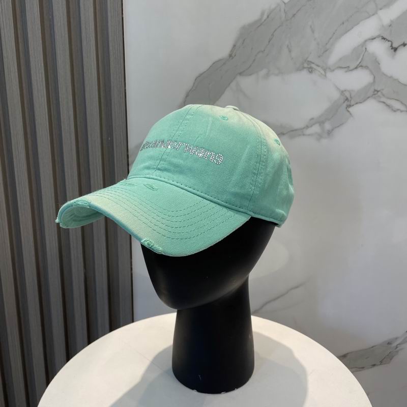 Alexander Wang cap dx (28)