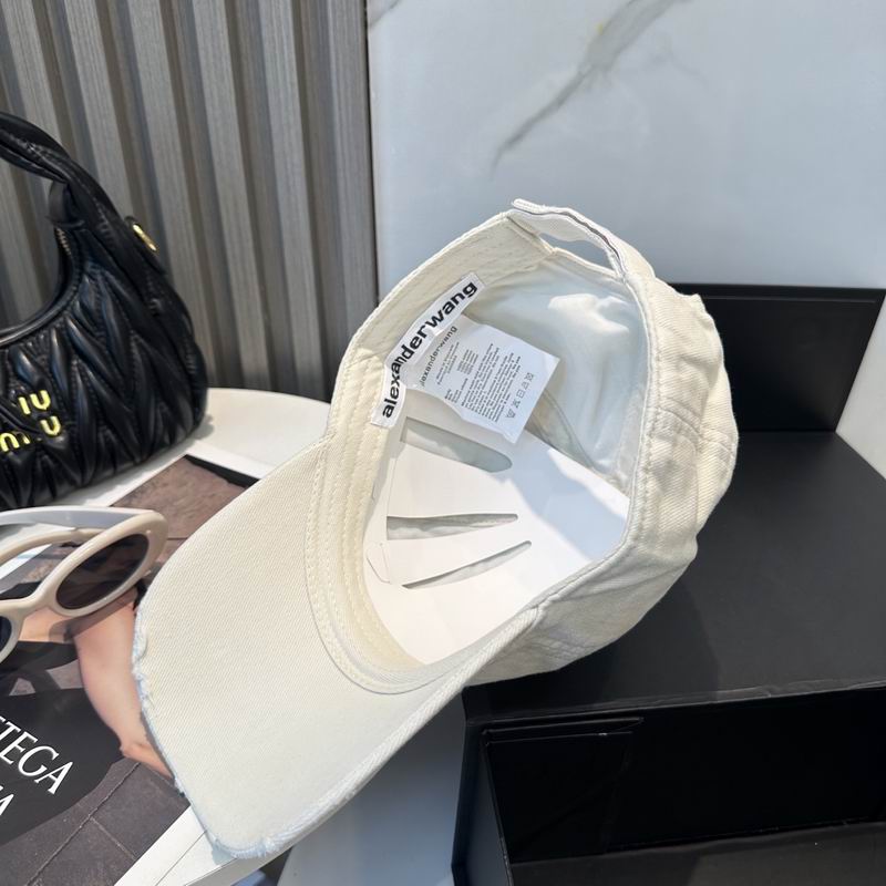 Alexander Wang cap dx (32)